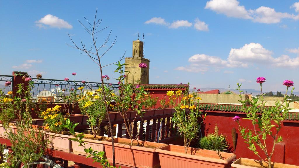 Ryad Bab Berdaine Meknès Exteriör bild